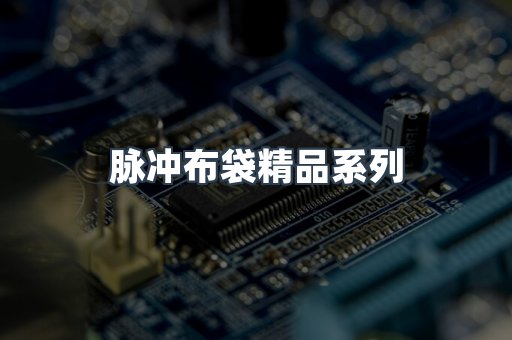 脉冲布袋精品系列